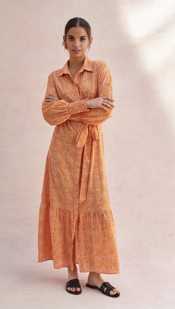 Alina Shirt Dress - Auburn Print - Image 17